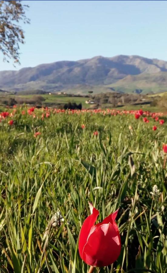 Agliata 138 Διαμέρισμα Petralia Sottana Εξωτερικό φωτογραφία